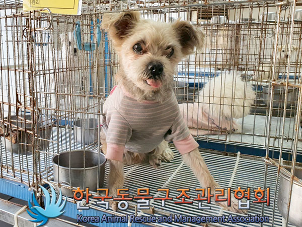 한국동물구조관리협회_411311202300857